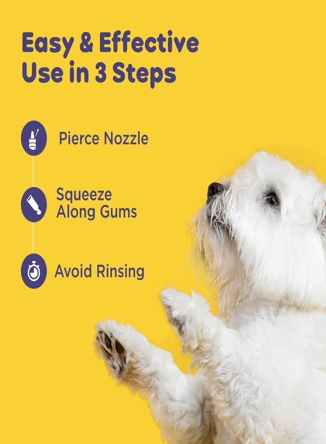 pil Pet Denta Gel Toothpaste for Dog & Cat with Mint, Green Tea Extract & Clove Oil |Fights Gum Diseases, Removes Plaque & Controls Bad Breath| Squeeze Only- No Brushing, No Rinsing (100Gm). - Image 5